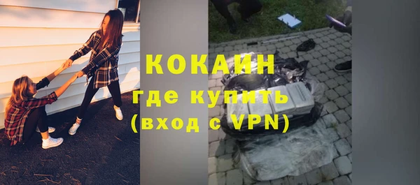 дживик Богородск