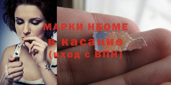 молекула духа Богородицк