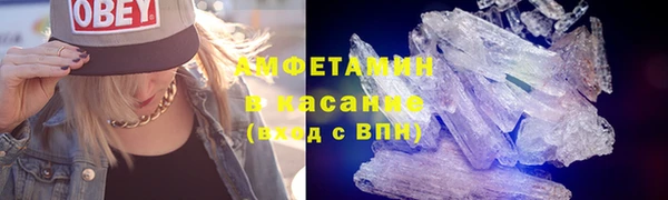 молекула духа Богородицк