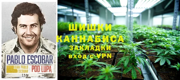 каннабис Богданович