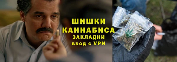 дживик Богородск