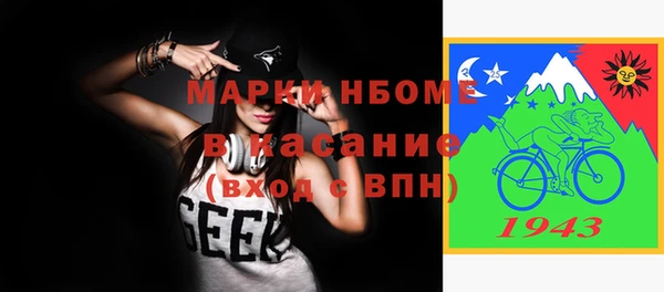 молекула духа Богородицк