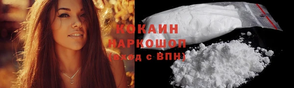 дживик Богородск