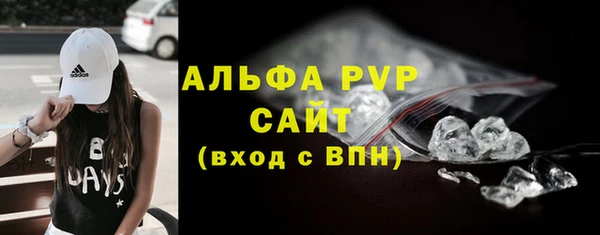 молекула духа Богородицк
