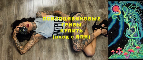 молекула духа Богородицк