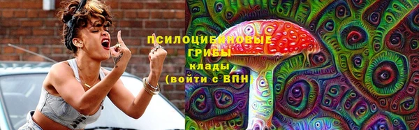 дживик Богородск