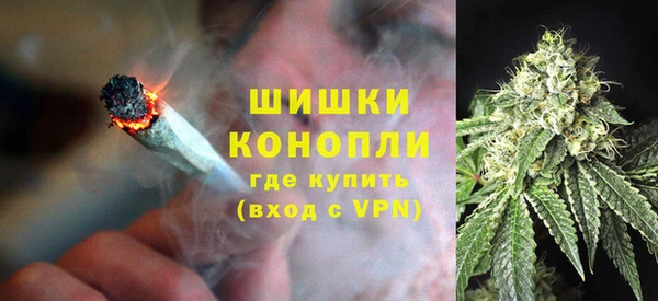дживик Богородск