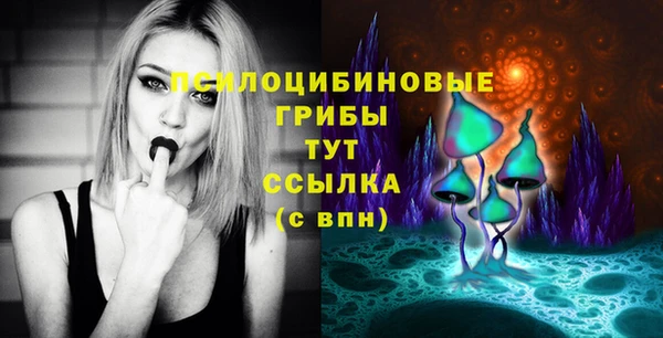 молекула духа Богородицк