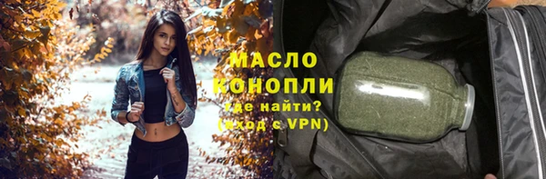 молекула духа Богородицк