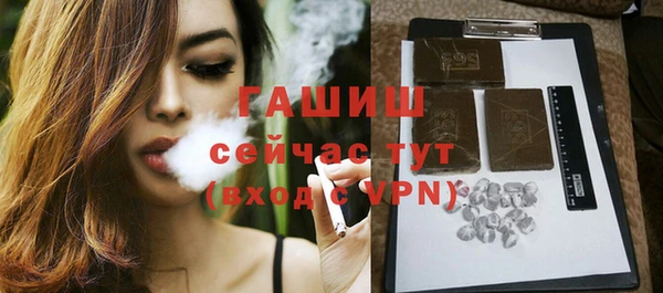 дживик Богородск