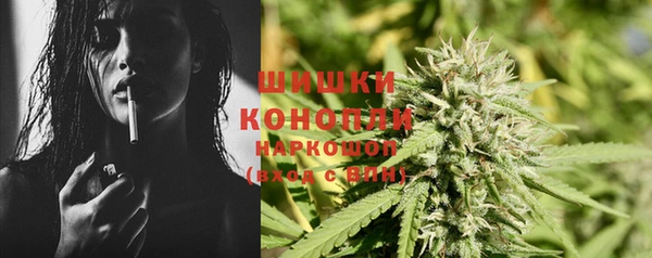 молекула духа Богородицк