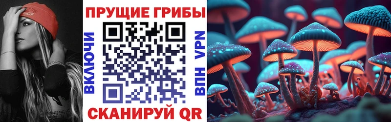 Псилоцибиновые грибы GOLDEN TEACHER  купить наркоту  Иноземцево 